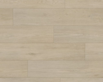 [200111122_50] Taralay Impression Compact - 1055 Nature Oak Clear